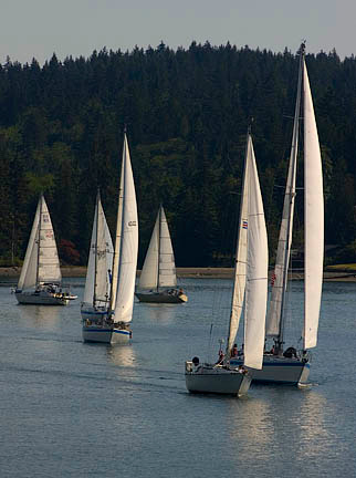 Race pics