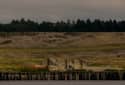 ruins and golfcourse