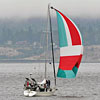 Taking Flight under spinnaker