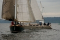 Youngblood sailing pic