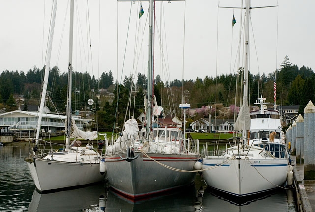 docked boats