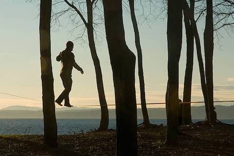 SlacklineTrees