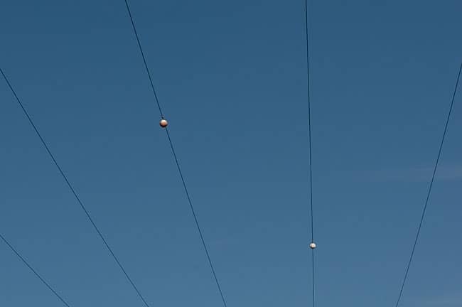 Lee Youngblood Photo