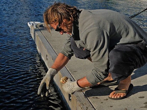 Lee Youngblood Photo
