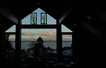 Magnolia Window View