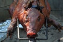 Roasting Pig