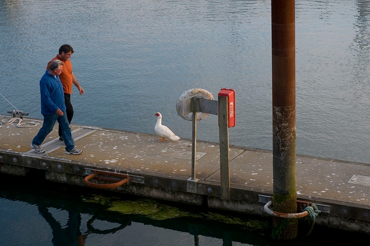 ©Lee Youngblood 2014
