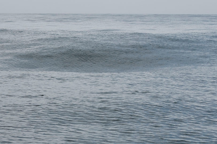 ©Lee Youngblood 2014