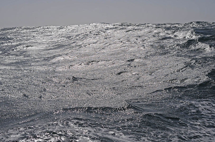 &copy;Lee Youngblood 2014