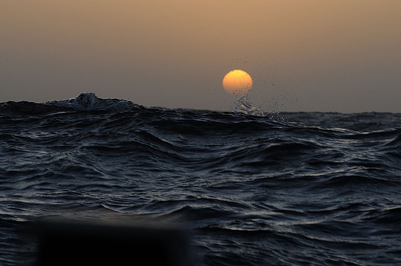 &copy;Lee Youngblood 2014