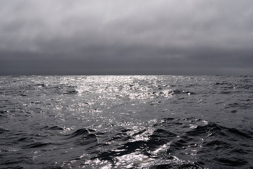 &copy;Lee Youngblood 2014