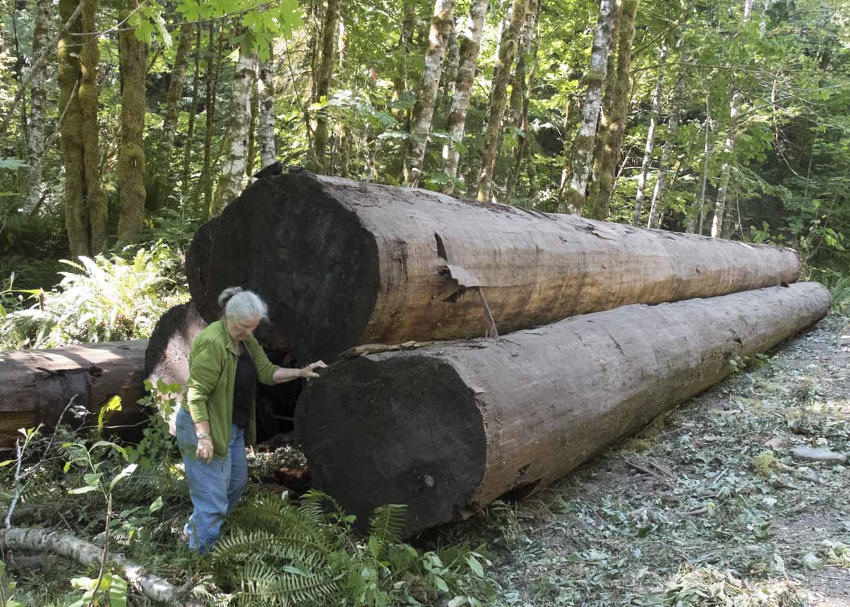 Kathleen and logs