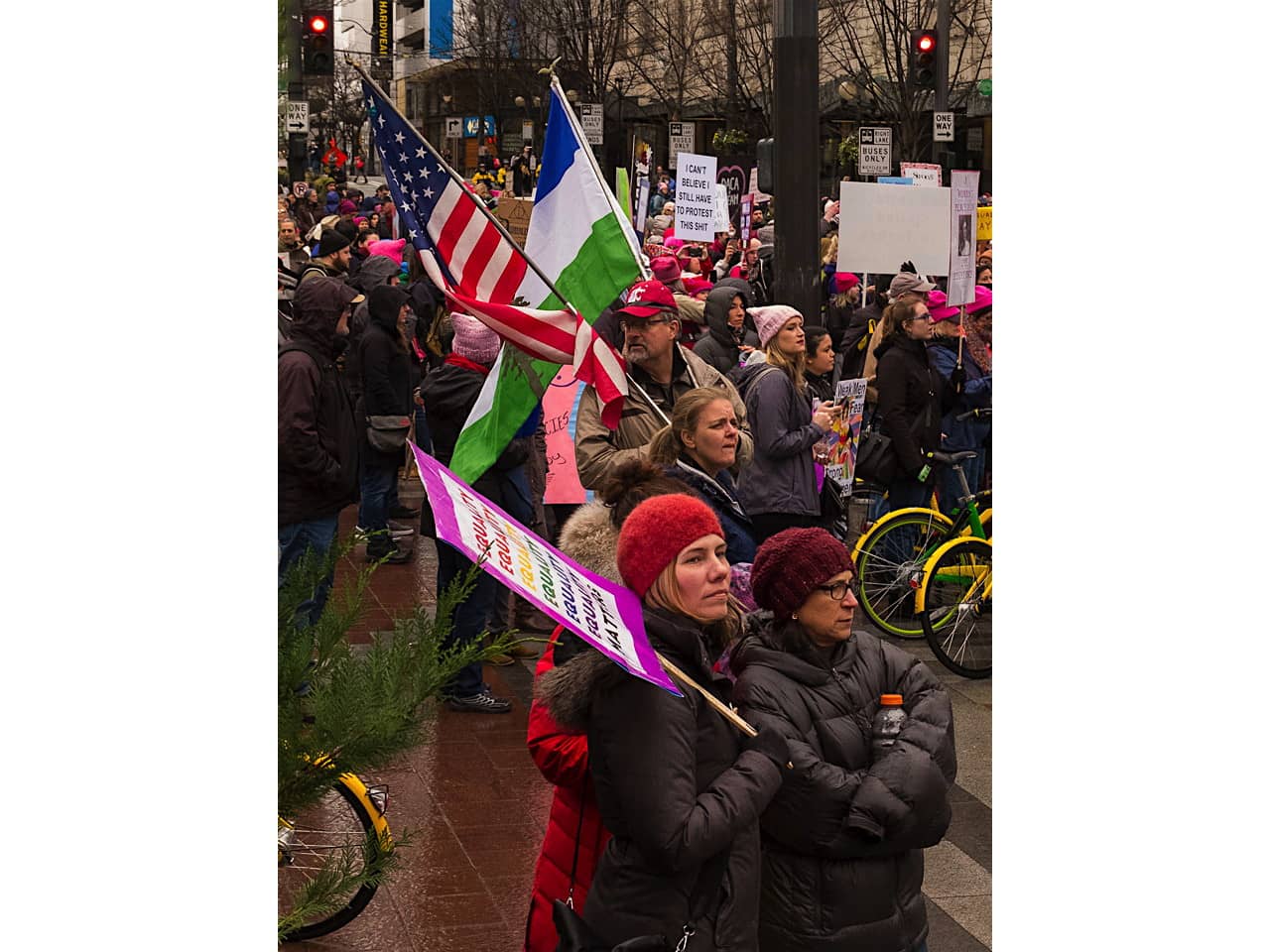 2018 Womens March, Seattle