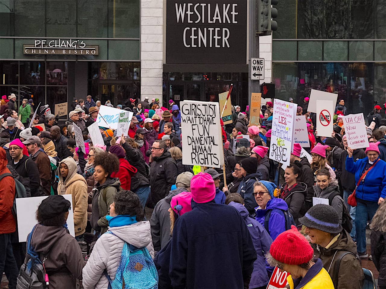 2018 Womens March, Seattle