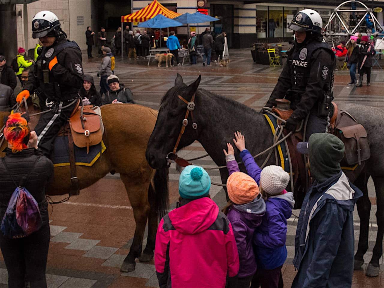 2018 Womens March, Seattle