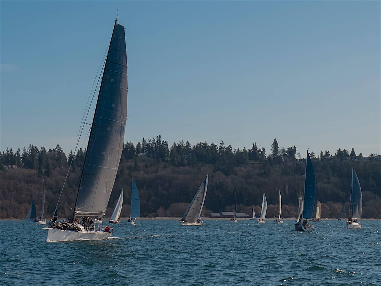 s/v Panic Race