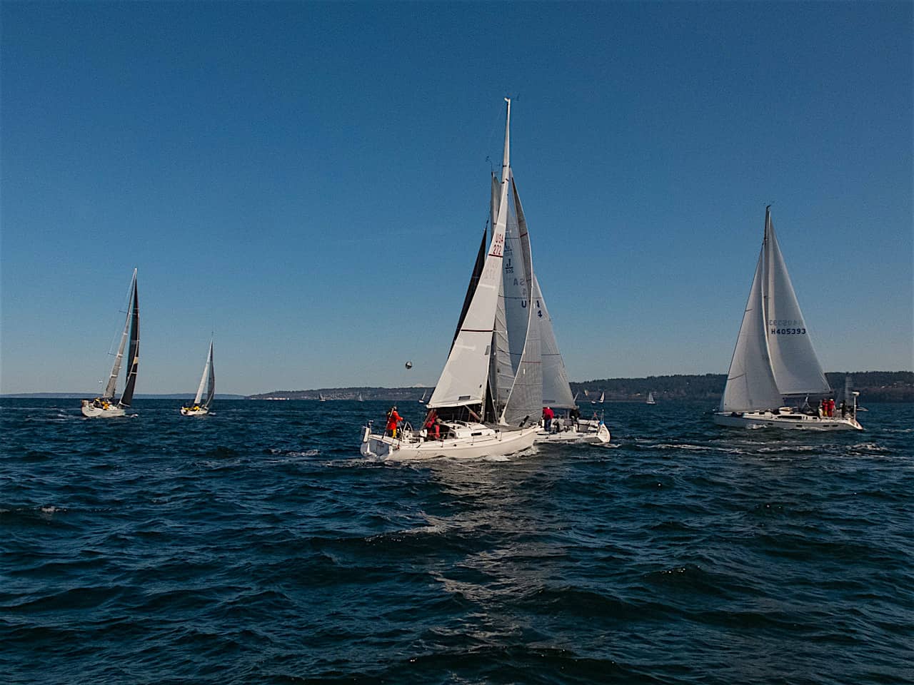 s/v Panic Race