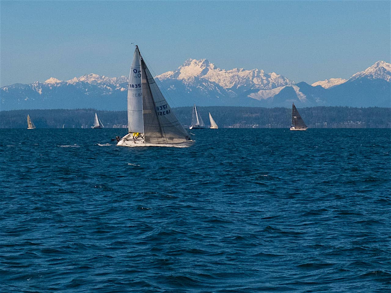 s/v Panic Race