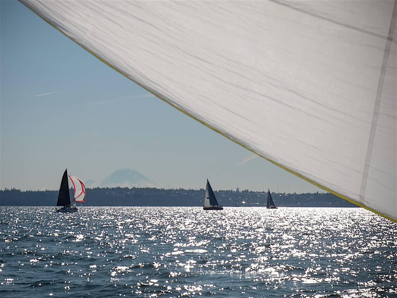 s/v Panic Race