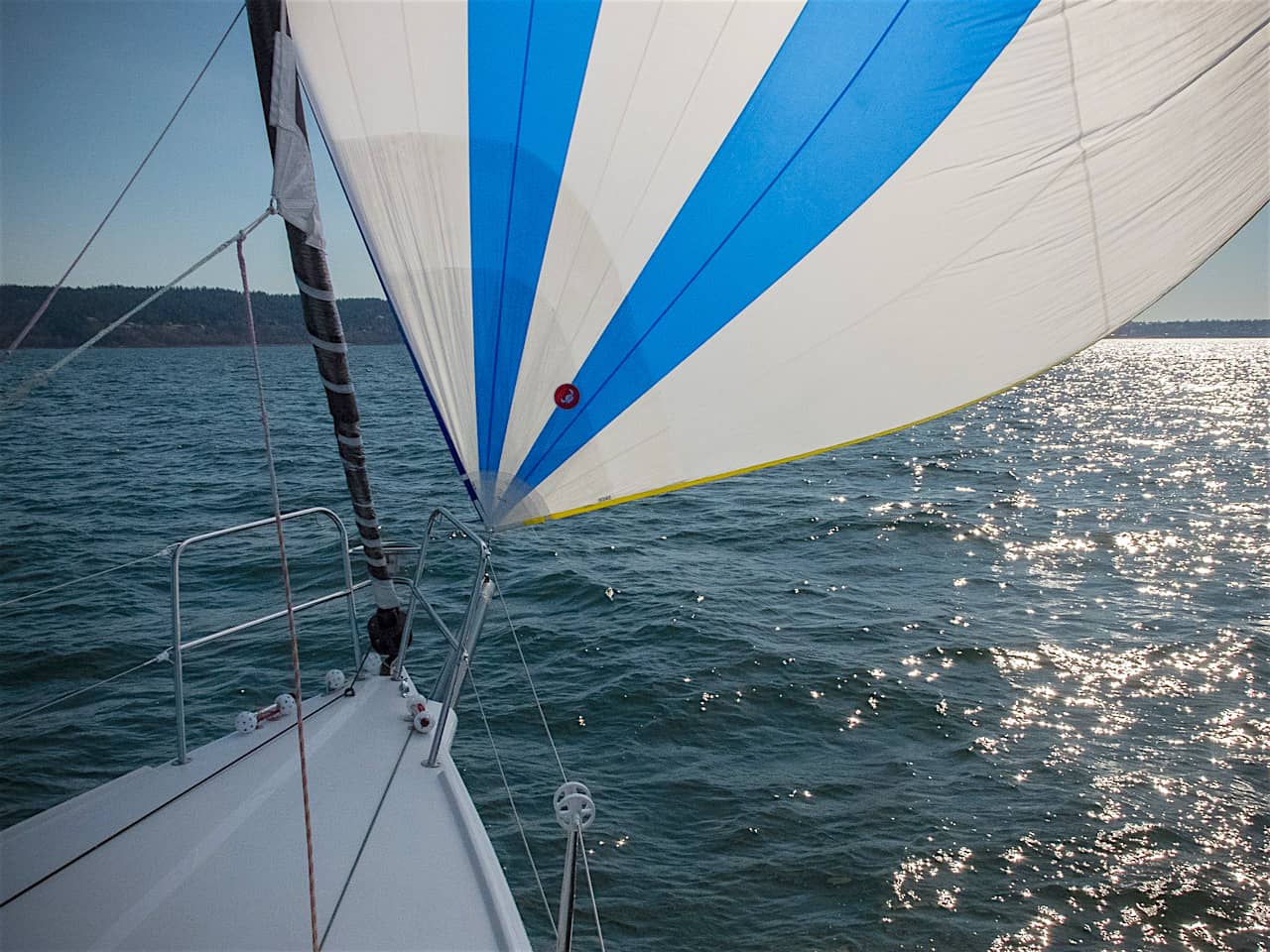 s/v Panic Race