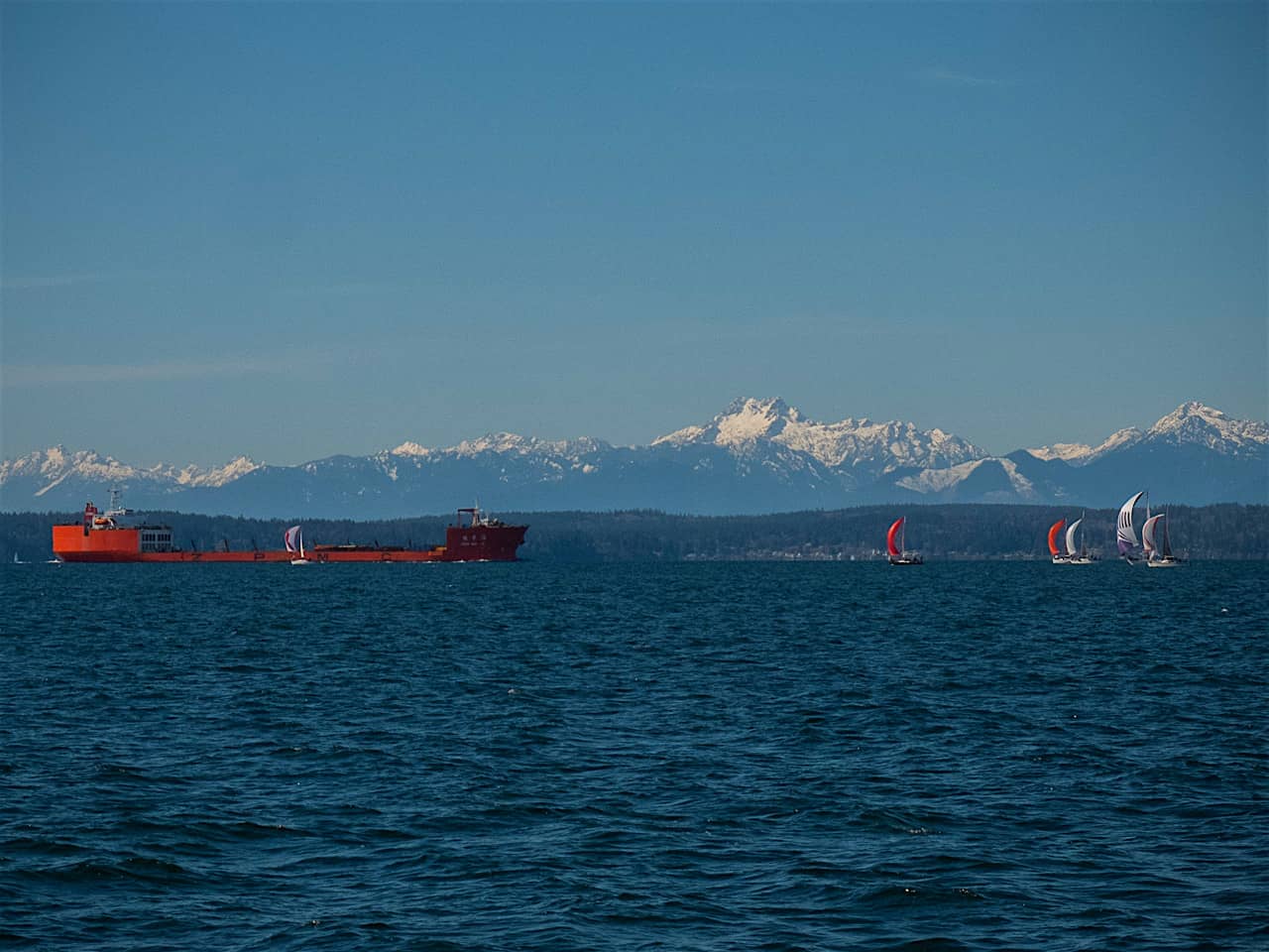 s/v Panic Race