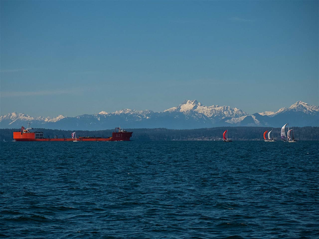 s/v Panic Race