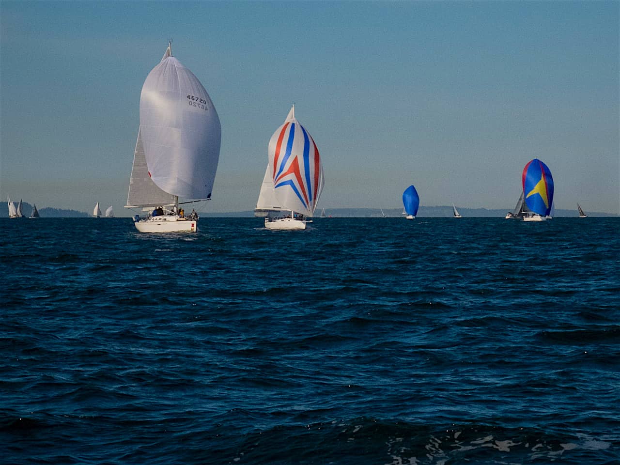 s/v Panic Race