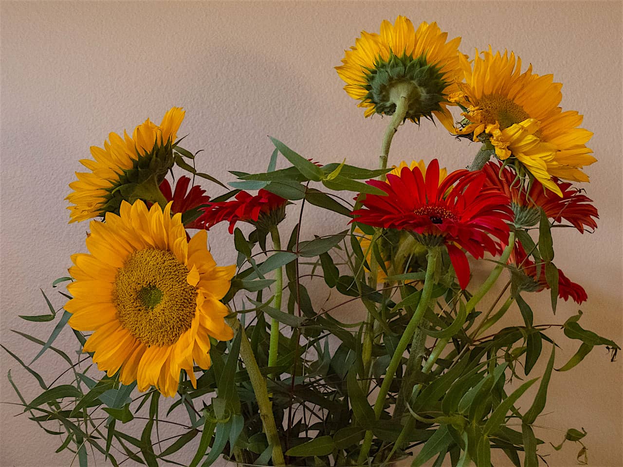 Family Flowers