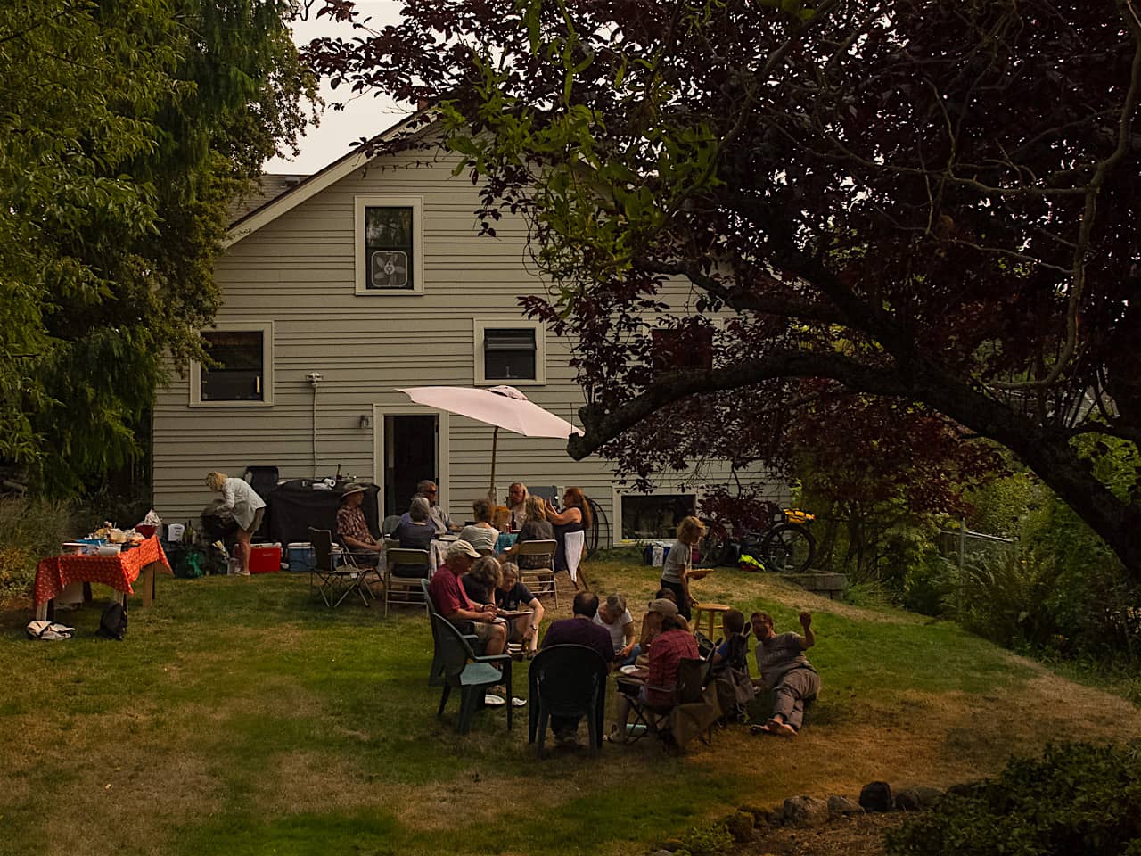 Back yard party