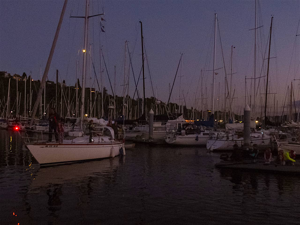 s/v Arrow