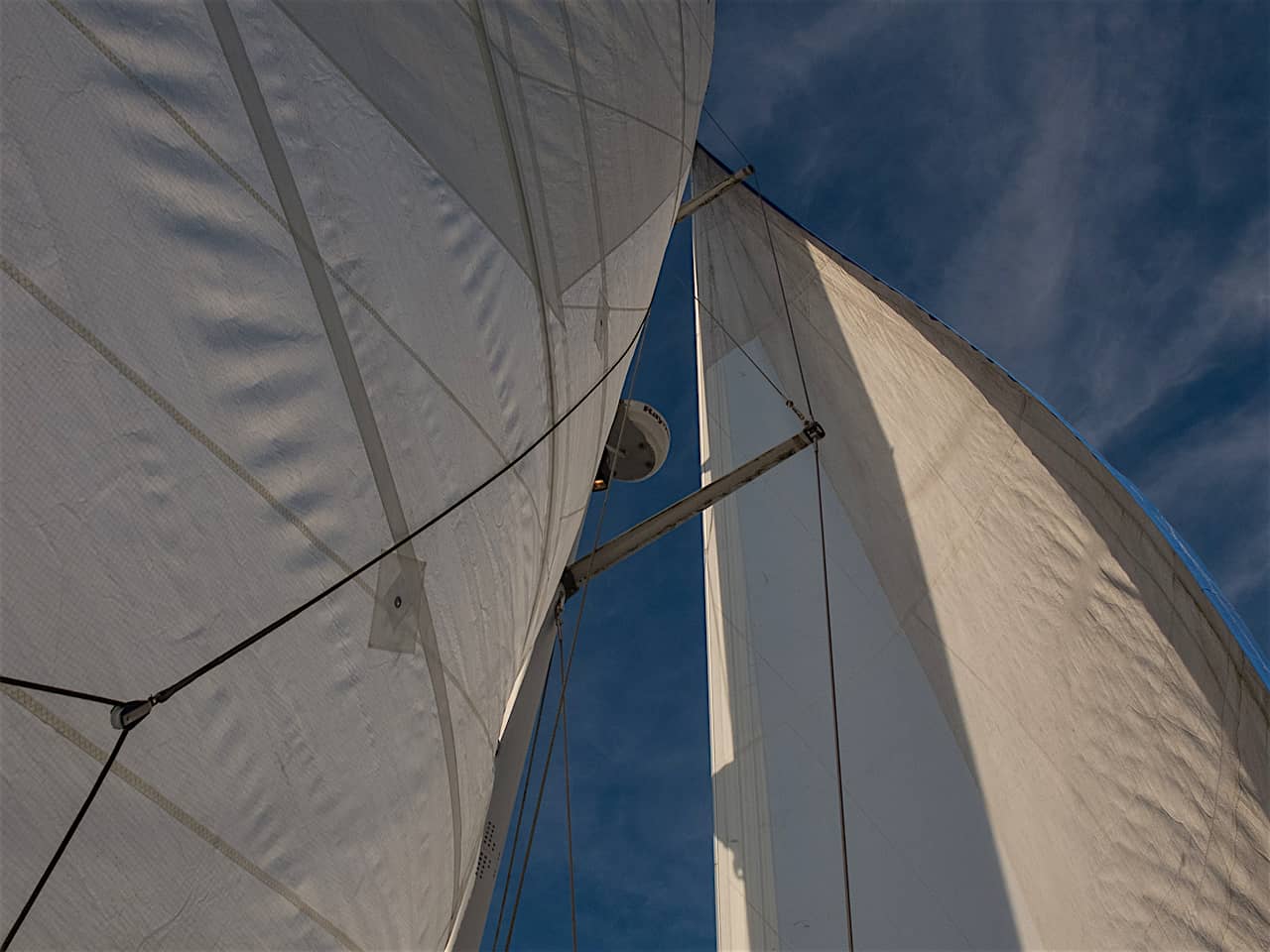 Bavaria 42