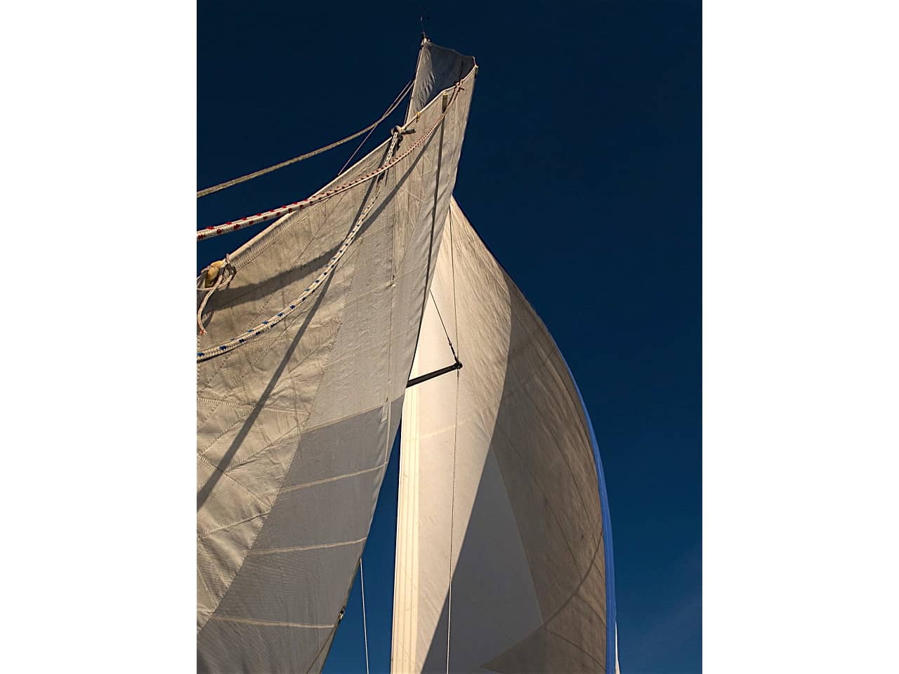 Bavaria 42