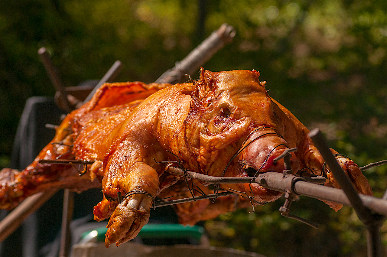 roasting pig