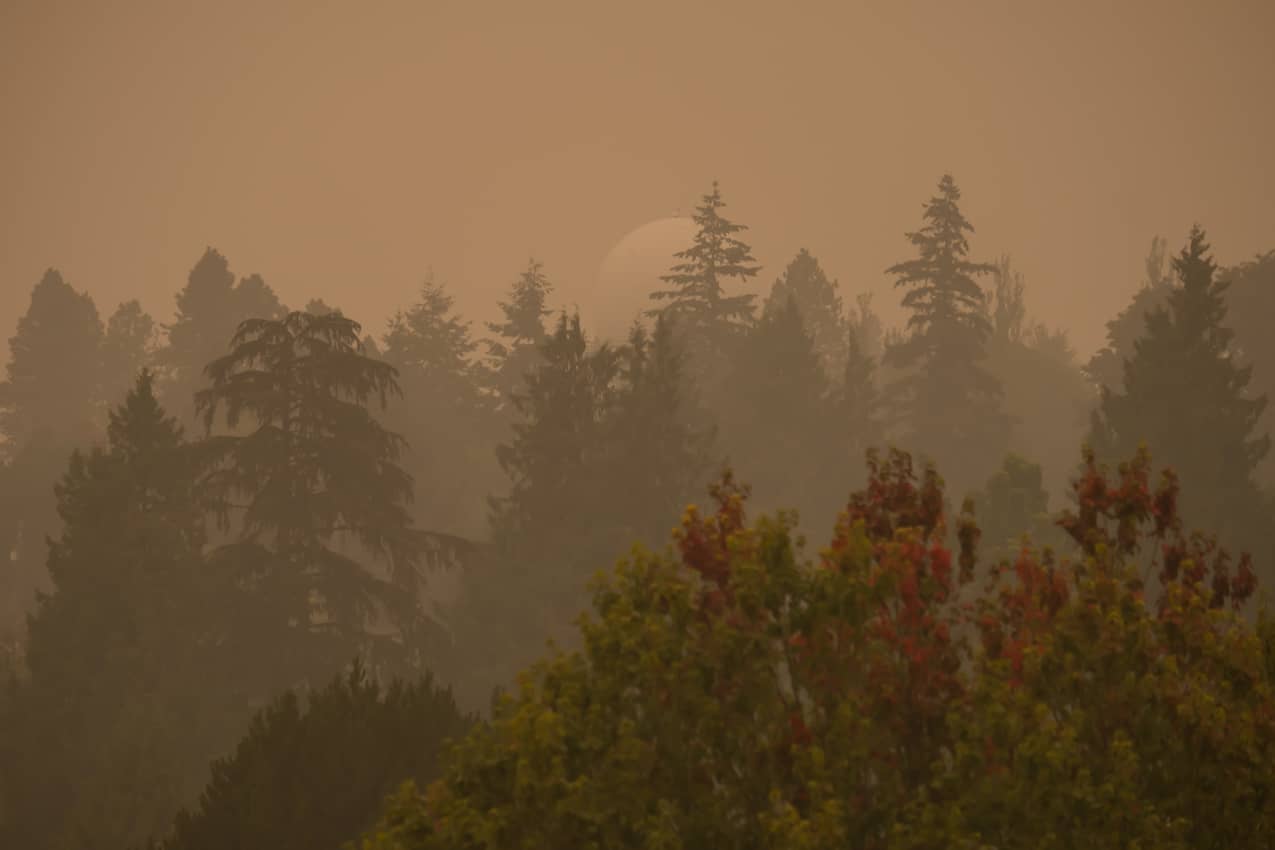 Smokey Radar Dome