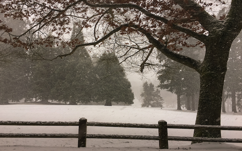 Golfcourse snow