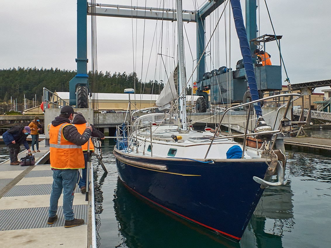 Passport Shearwater Survey