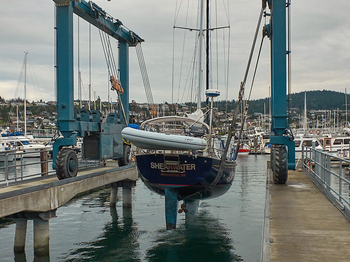 Passport Shearwater Survey