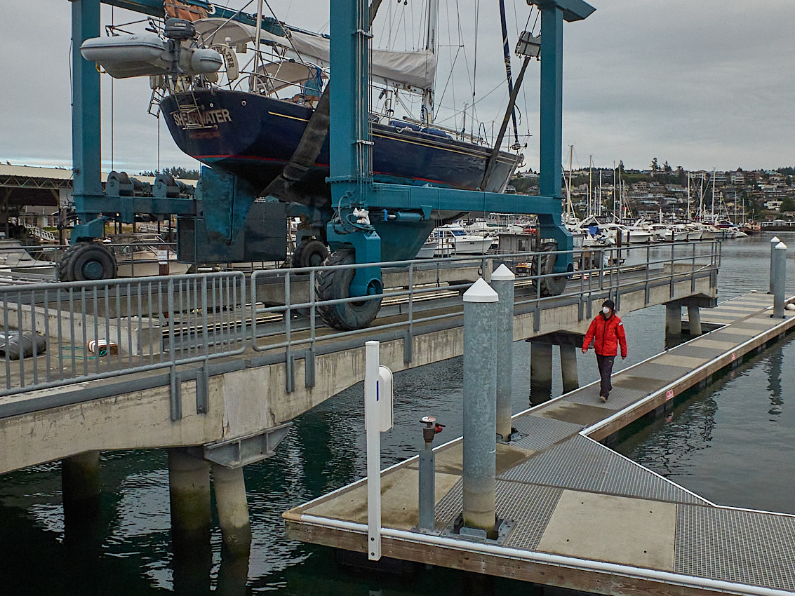 Passport Shearwater Survey