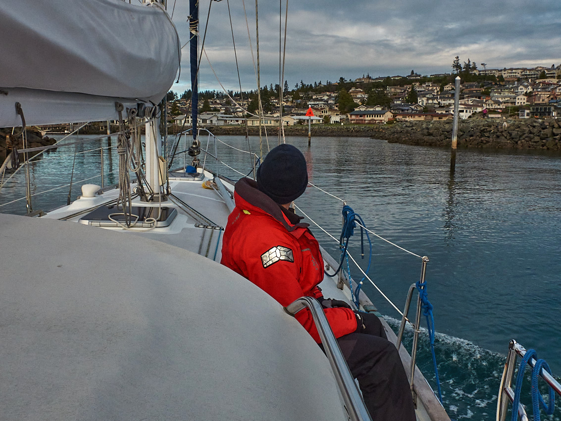 Passport Shearwater Survey