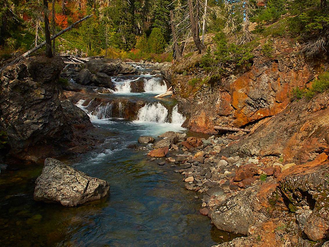 FallColors