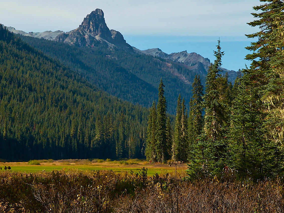 FallColors