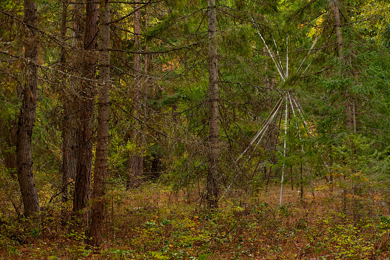 FallColors