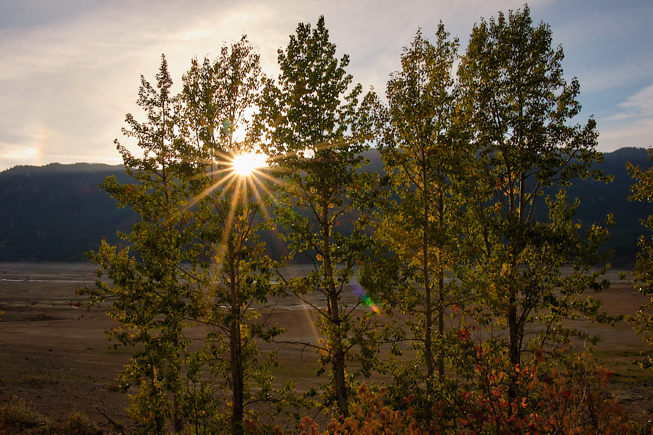 FallColors