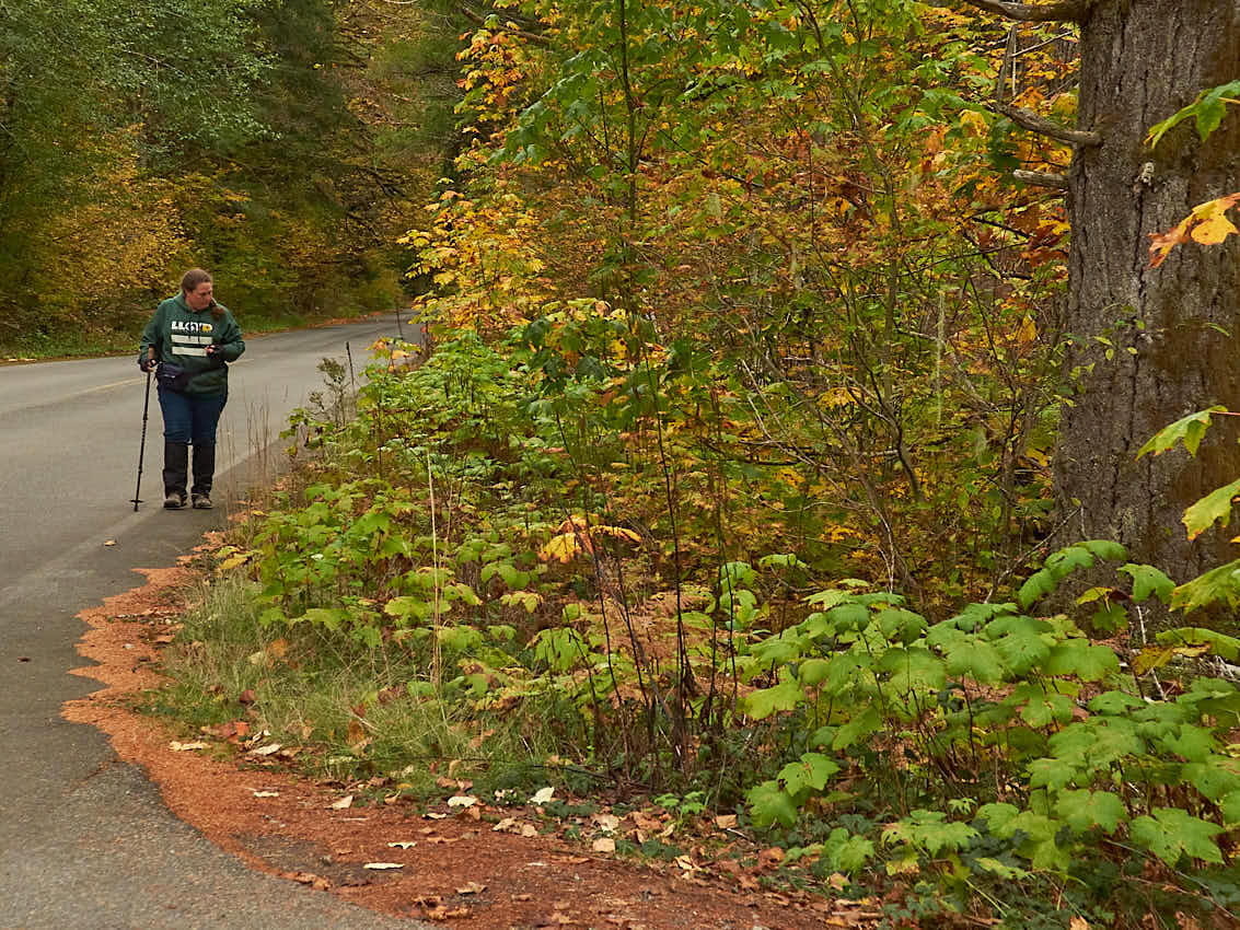 One Last Fall Trip