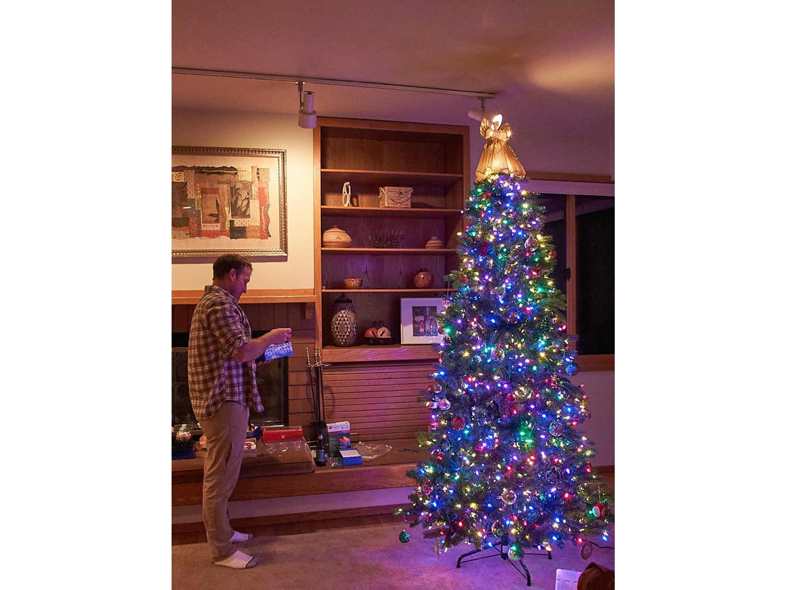 MagnoliaXmas