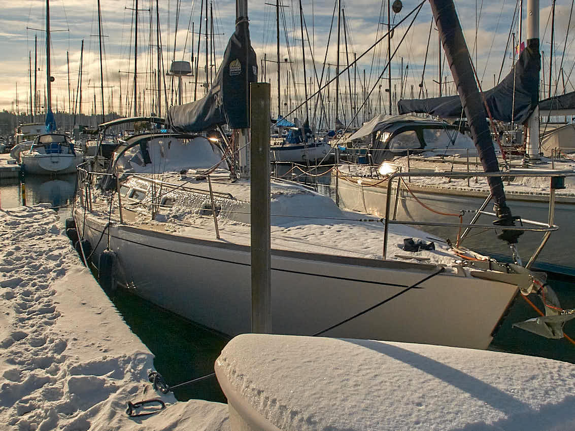 Shilshole Snow