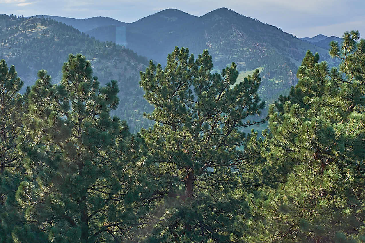 BoulderTrip