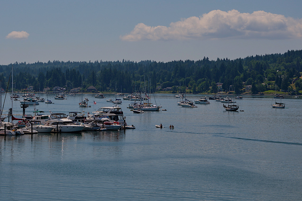 Coho.Poulsbo Pics