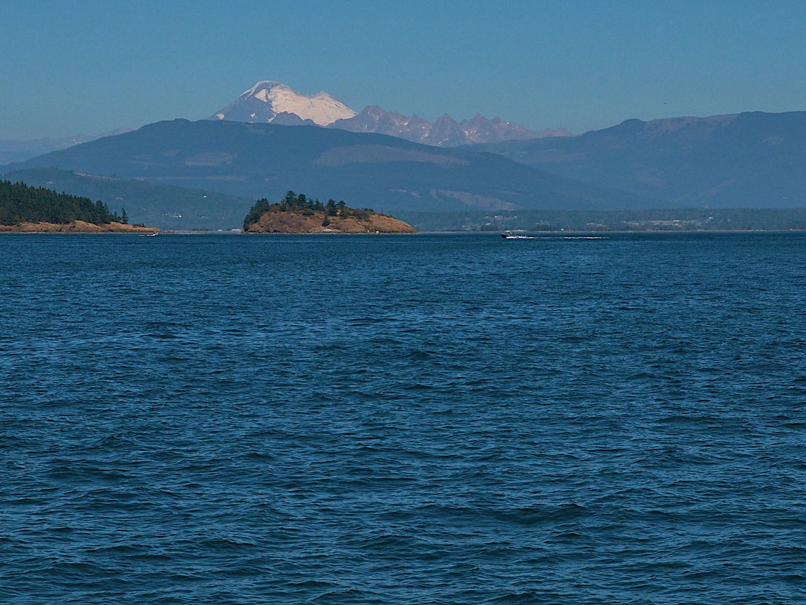 Tayana Vancouver 42