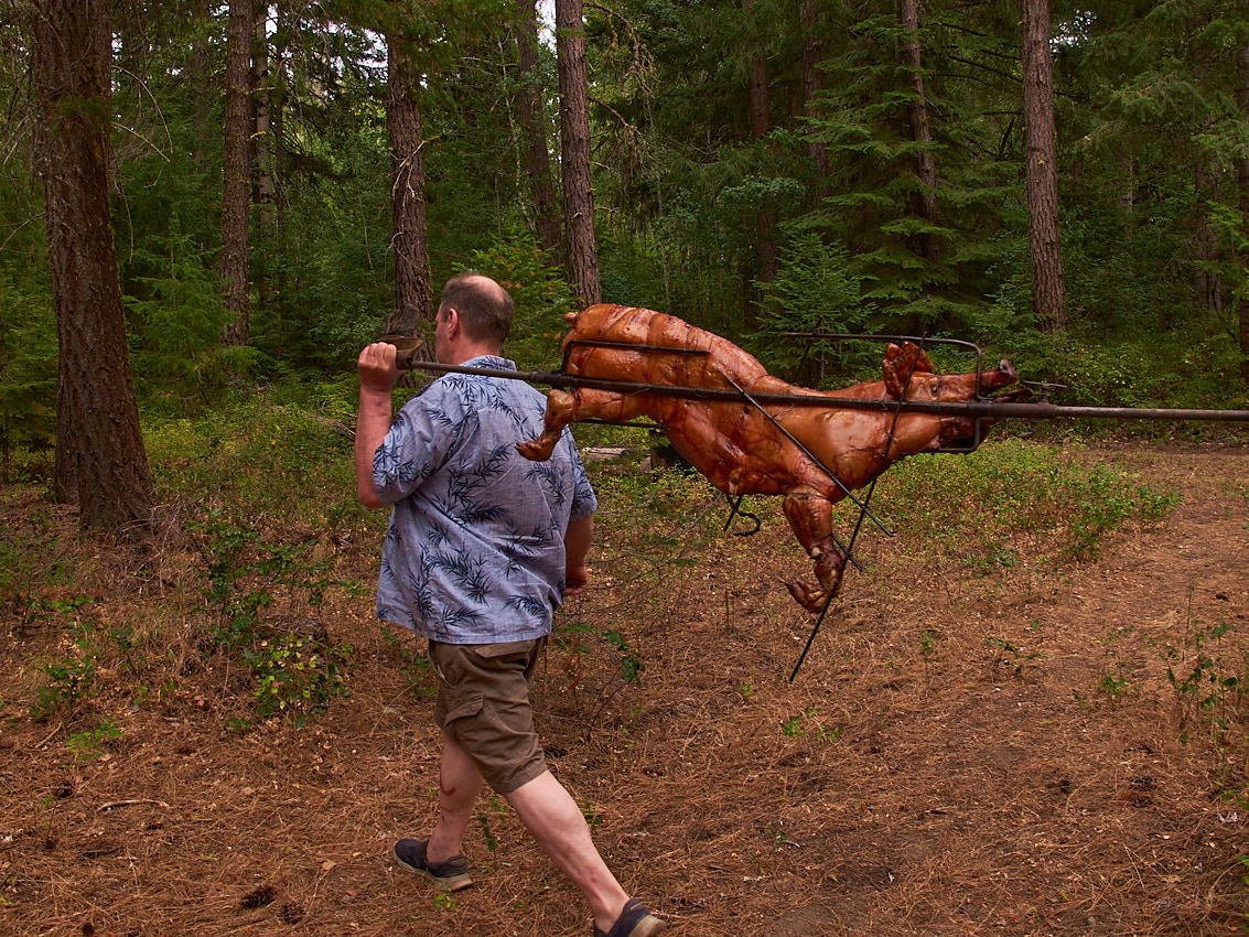 Pig to table.